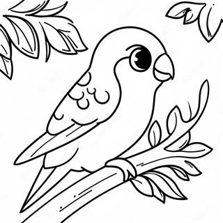 Page à colorier de perruche | Page de coloriage Perroquet