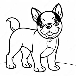 Page à colorier de Boston Terrier espiègle | Page de coloriage Boston Terrier