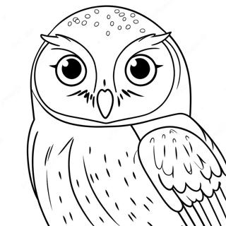 Page à colorier de Hedwig le hibou | Page de coloriage Hedwige