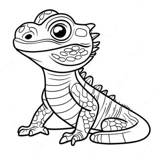 Page à colorier de dragon barbu | Page de coloriage Dragon Barbu