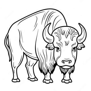 Page à colorier de buffle | Page de coloriage Bison
