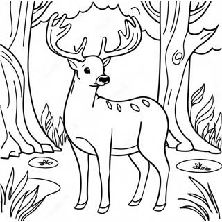 Cerf dans une forêt à colorier | Page de coloriage Cerf