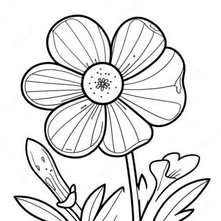 Page à colorier de fleur de bouton d'or | Page de coloriage Renoncule