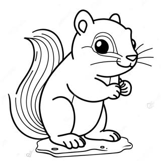 Sciuridé Coloriages