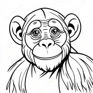 Page à colorier de chimpanzé | Page de coloriage Chimpanzé
