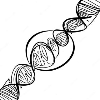 Page à colorier de double hélice ADN colorée | Page de coloriage ADN