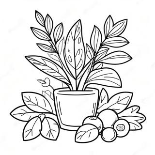 Page à colorier des herbes | Page de coloriage Herbe