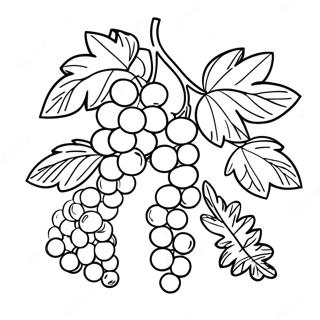 Page à colorier Vigne | Page de coloriage Vigne