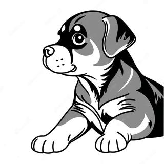 Page à colorier de chiot Rottweiler joueur | Page de coloriage Rottweiler