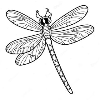 Page à colorier de Libellule | Page de coloriage Libellule