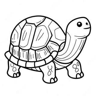 Page à colorier de la tortue | Page de coloriage Tortue