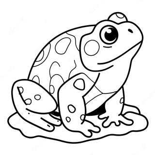 Page à colorier de crapaud | Page de coloriage Crapaud