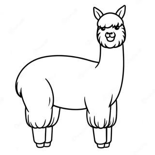 Page à colorier d'alpaga | Page de coloriage Alpaga