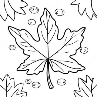 Page à colorier feuille d'érable d'automne | Page de coloriage Feuille d'érable