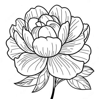 Page à colorier Fleur de Pivoine | Page de coloriage Pivoine