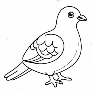 Page à colorier Pigeon | Page de coloriage Pigeon
