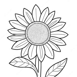 Page à colorier de tournesol ukrainien vibrant | Page de coloriage Ukrainien