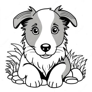 Page à colorier d'un chiot Border Collie | Page de coloriage Border Collie