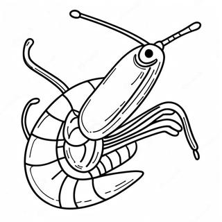 Page à colorier crevette | Page de coloriage Crevette