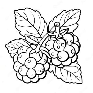 Page à colorier Framboise | Page de coloriage Framboise