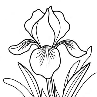 Page à colorier Fleur d'Iris | Page de coloriage Iris