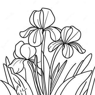 Page à colorier Beau Jardin d'Iris | Page de coloriage Iris