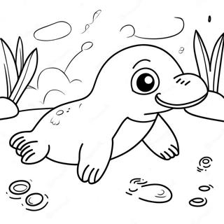 Ornithorynque Coloriages