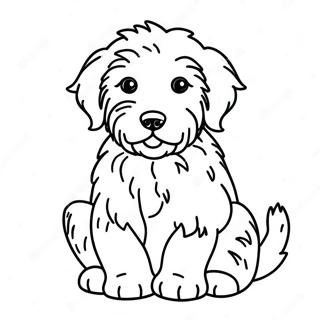 Page à colorier d'un chiot Aussiedoodle | Page de coloriage Aussiedoodle