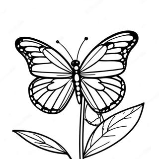 Page à colorier Papillon Monarque | Page de coloriage Papillon Monarque