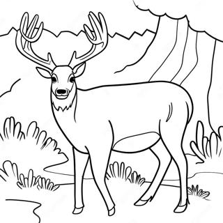 Page à colorier Cerf Mulet | Page de coloriage Cerf mulet