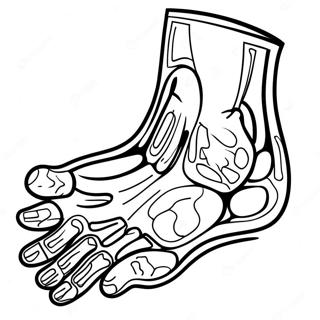 Page à colorier de pied X Ray | Page de coloriage Rayon X
