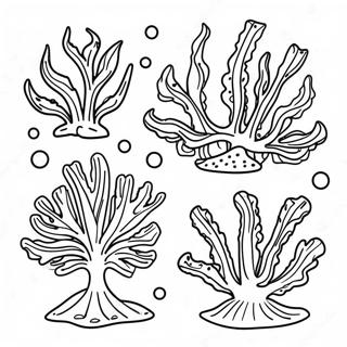 Page à colorier d'algues et de varech colorés | Page de coloriage Algues