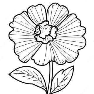 Page à colorier de fleur de œillet | Page de coloriage Œillet