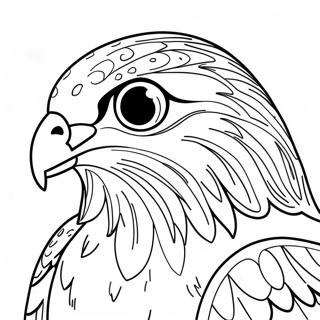 Page à colorier faucon | Page de coloriage Faucon