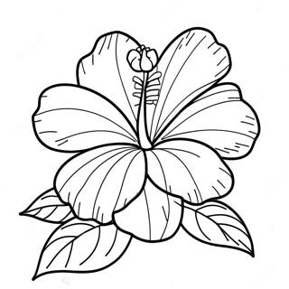Page à colorier Fleur d'Hibiscus | Page de coloriage Hibiscus