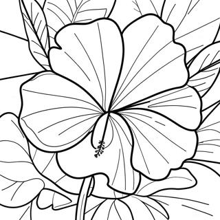 Page à colorier Hibiscus tropical | Page de coloriage Hibiscus