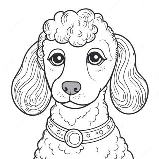 Page à colorier de caniche | Page de coloriage Caniche