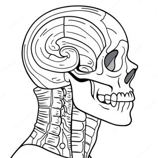 Page à colorier sur l'anatomie | Page de coloriage Anatomie